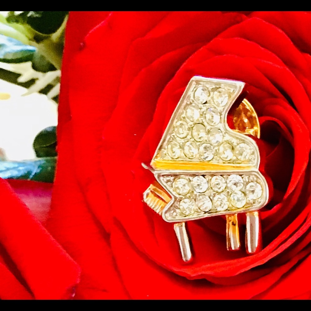 🌹BROOCH 🌹🪀